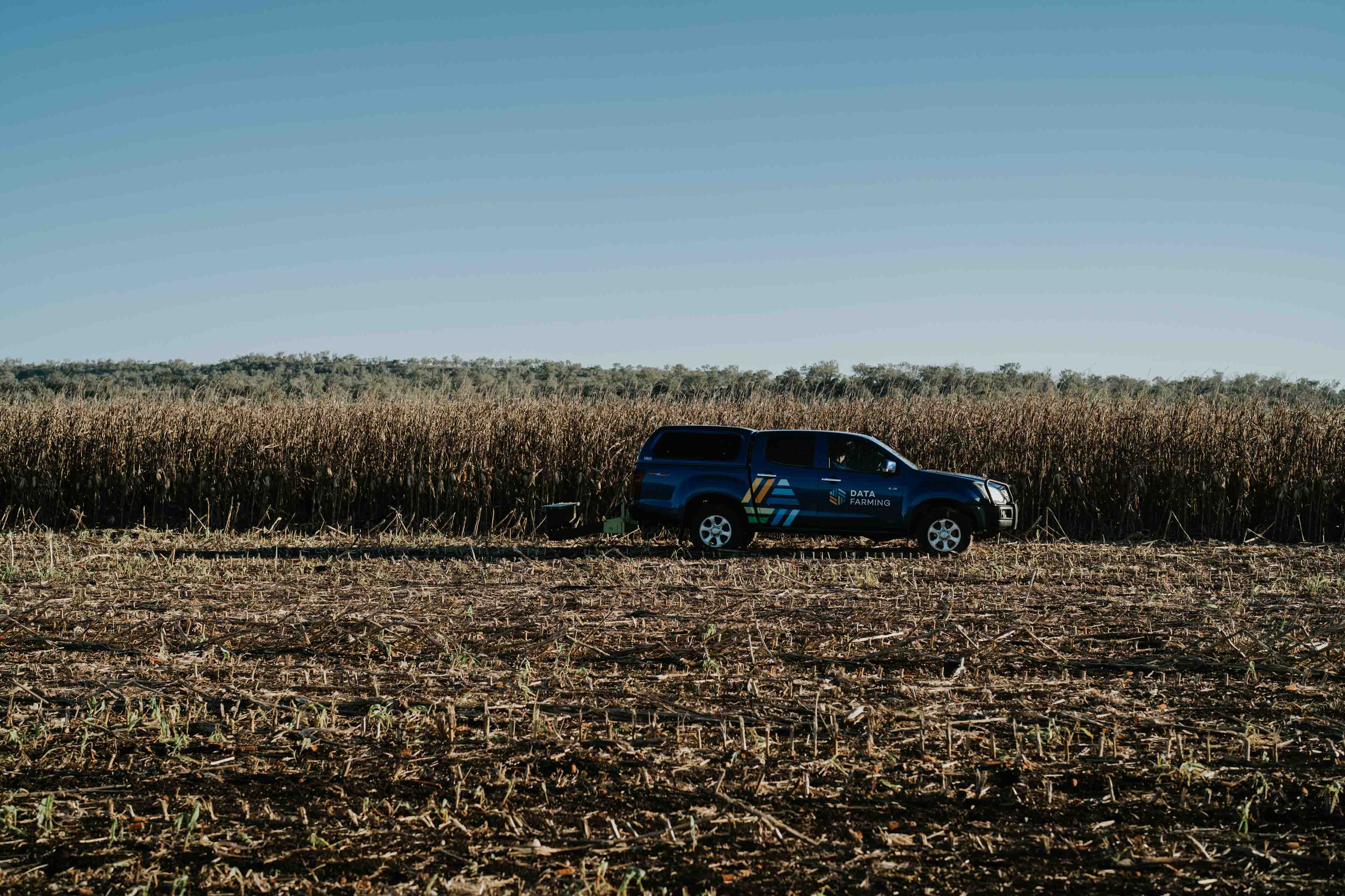 Data Farming