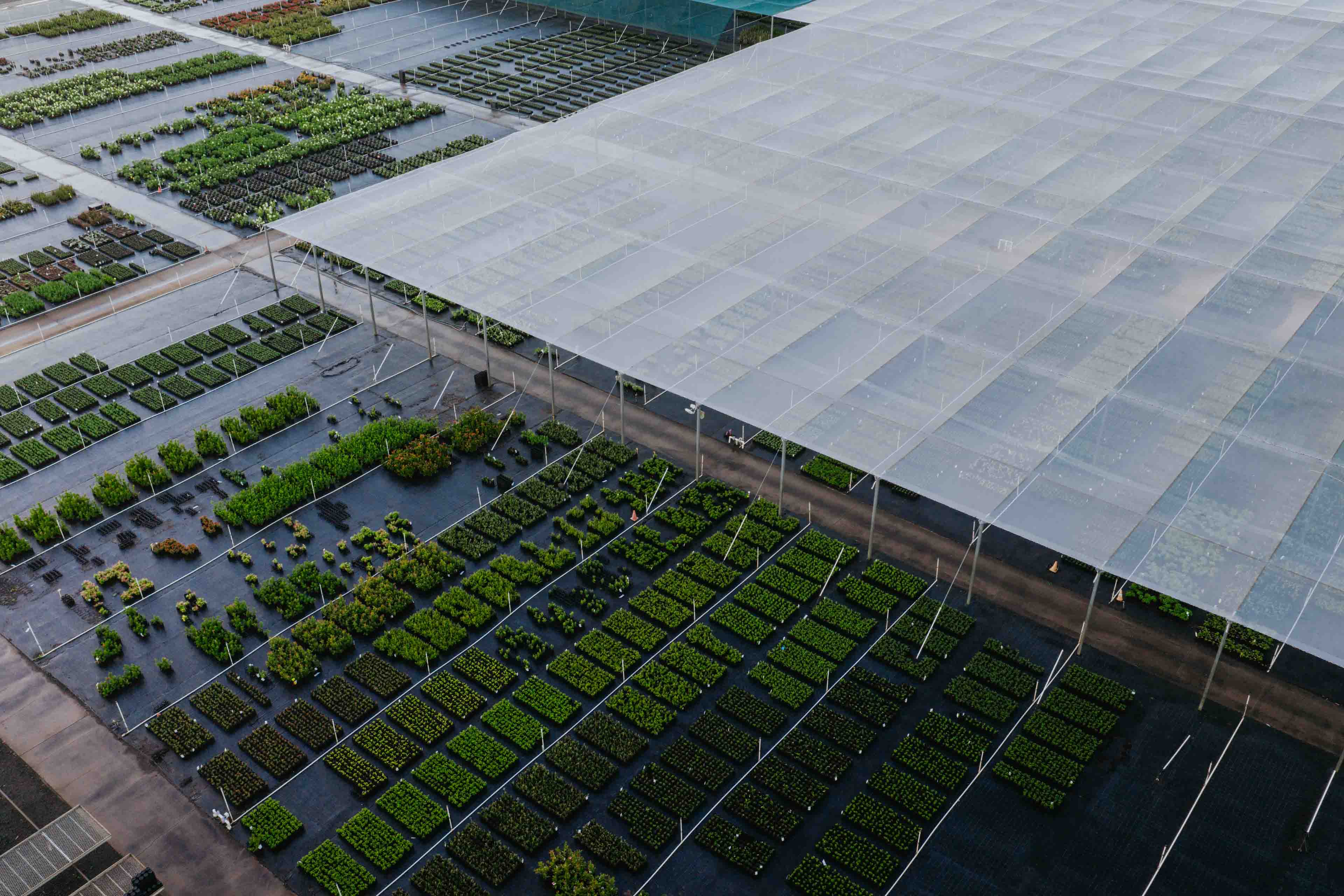 Pohlman's Nursery, 50th Anniversary Brand Film