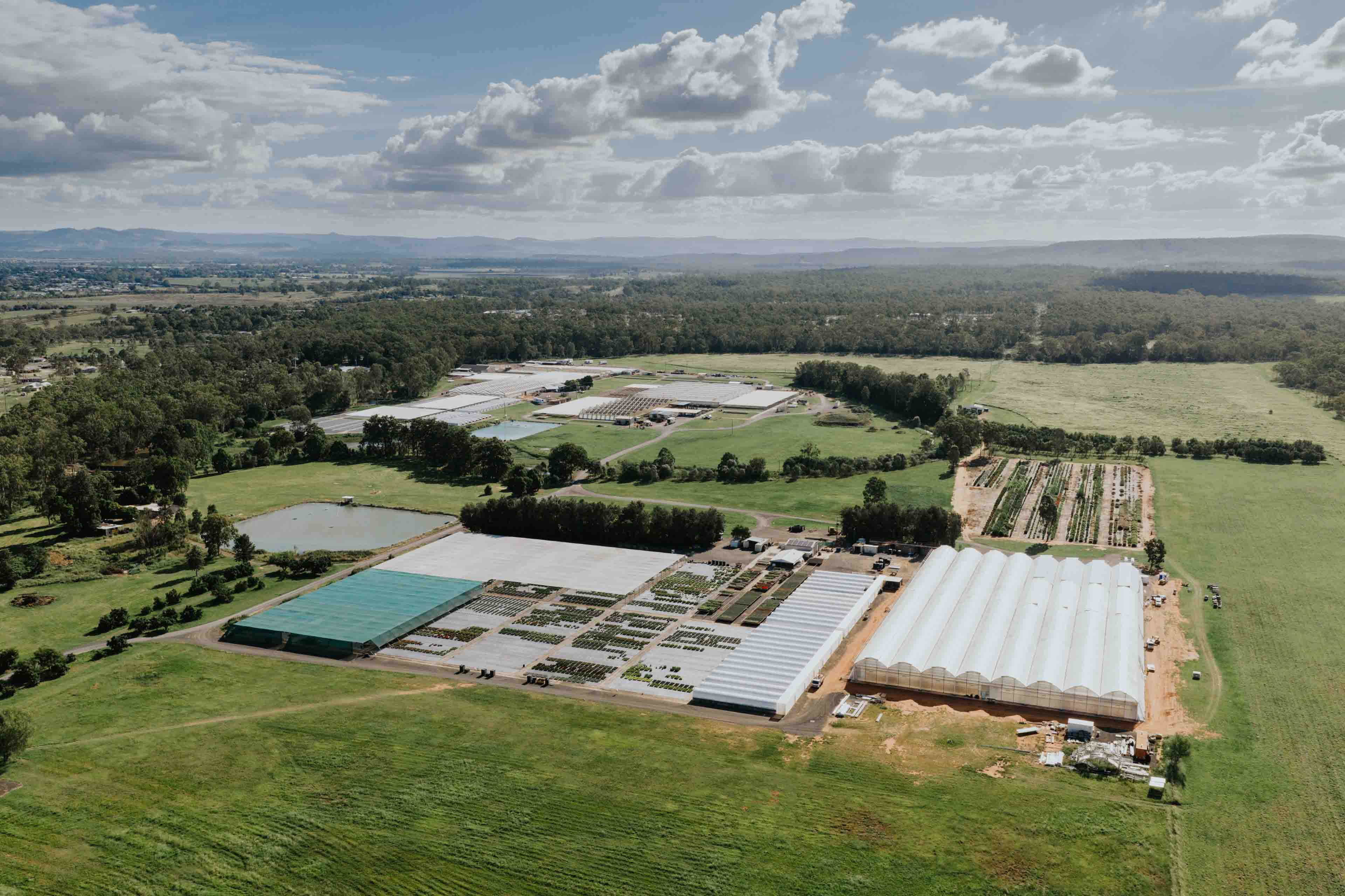 Pohlmans Nursery 50th Anniversary asset 9